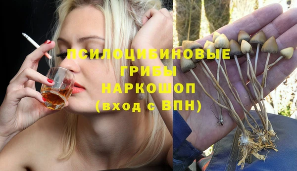Альфа ПВП Протвино